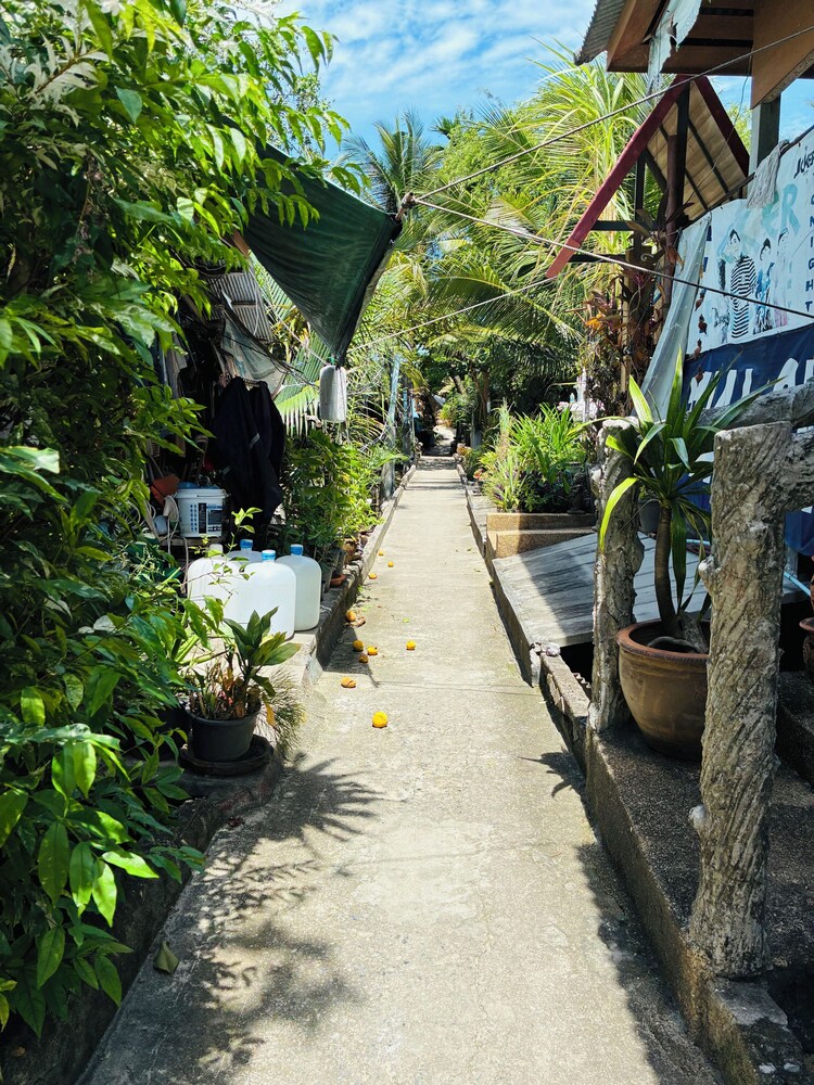 Lamai Beachfront Bungalow Koh-Rooms