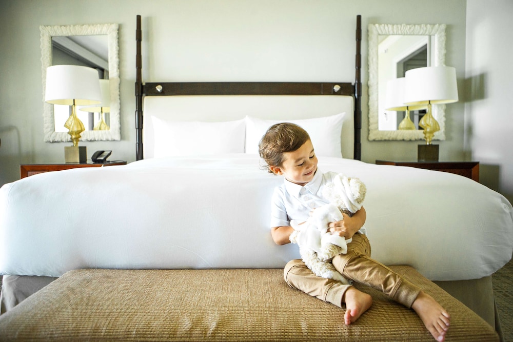 Fairmont Orchid - Property Image 31