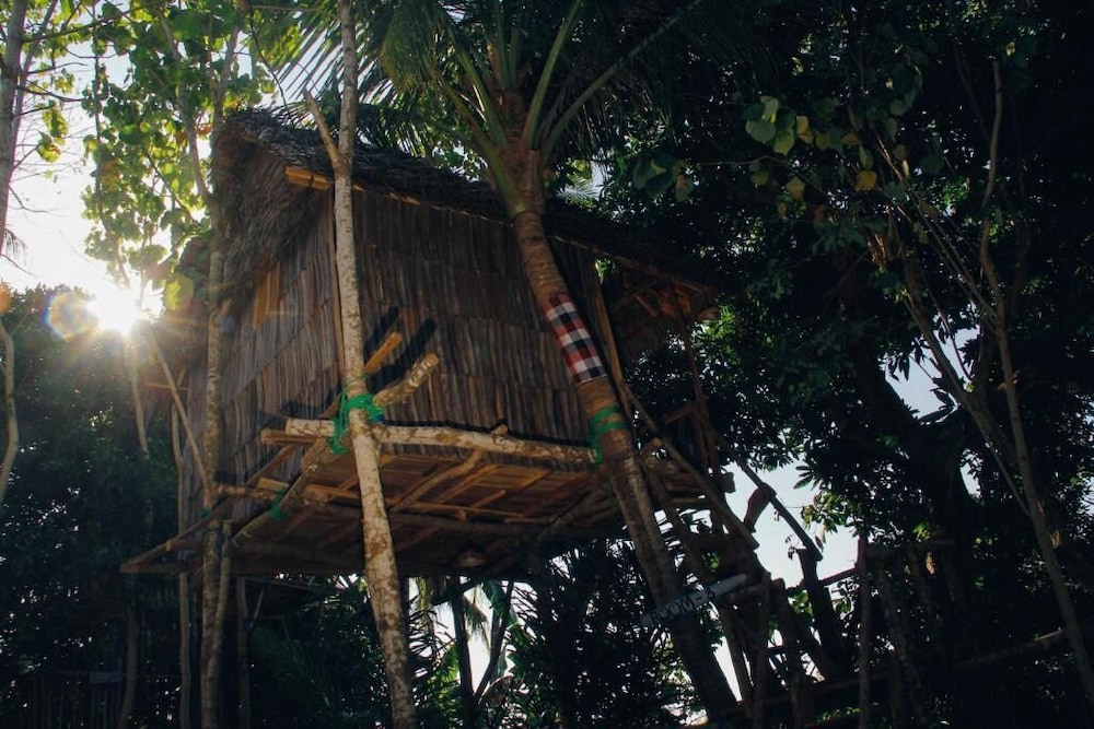 Nyuh Bengkok Tree House