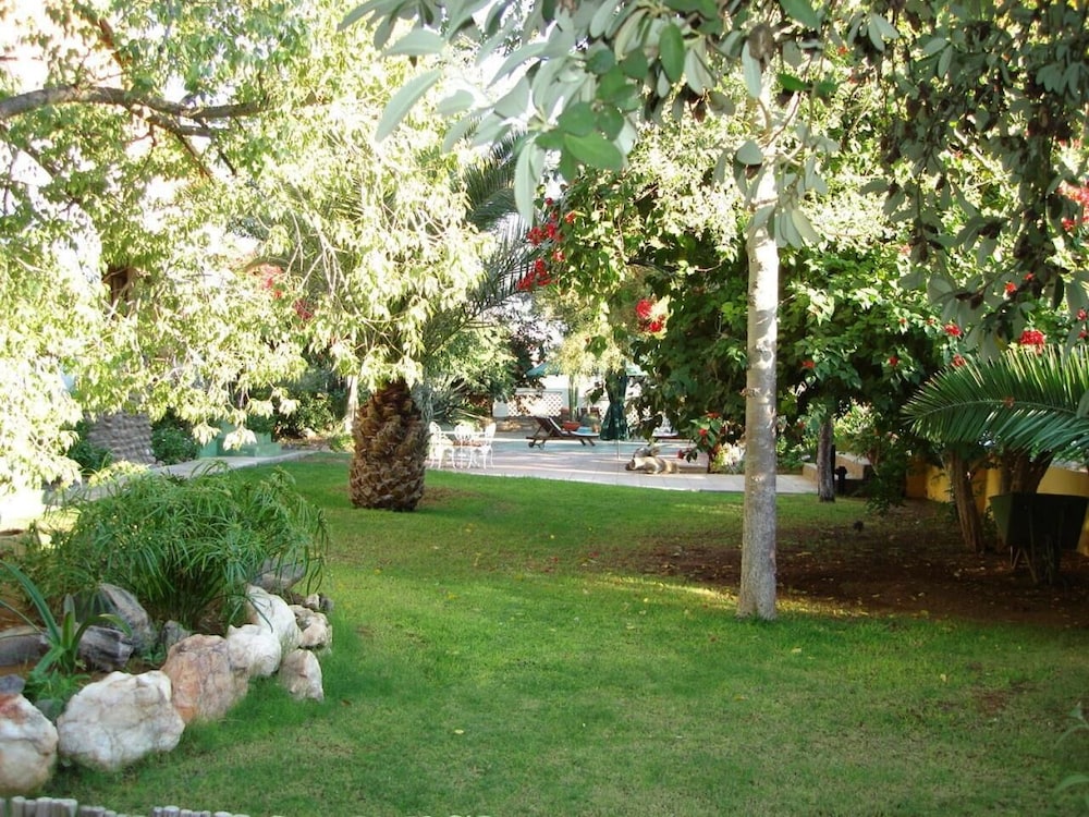 Photo 42