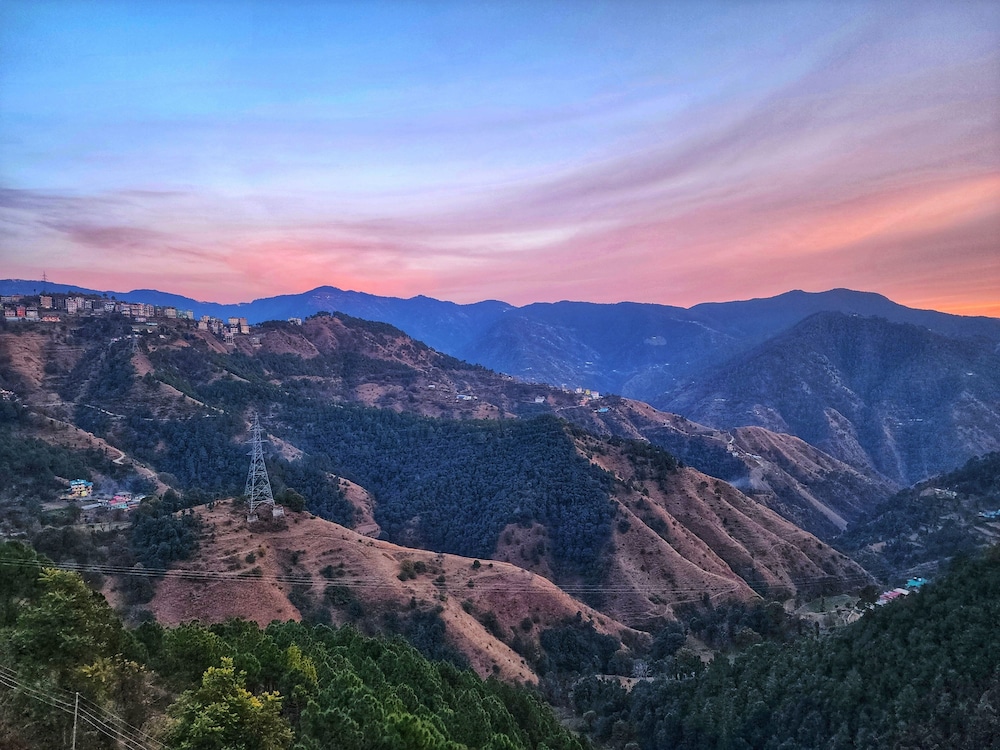 Royal Cedar Shimla view 2