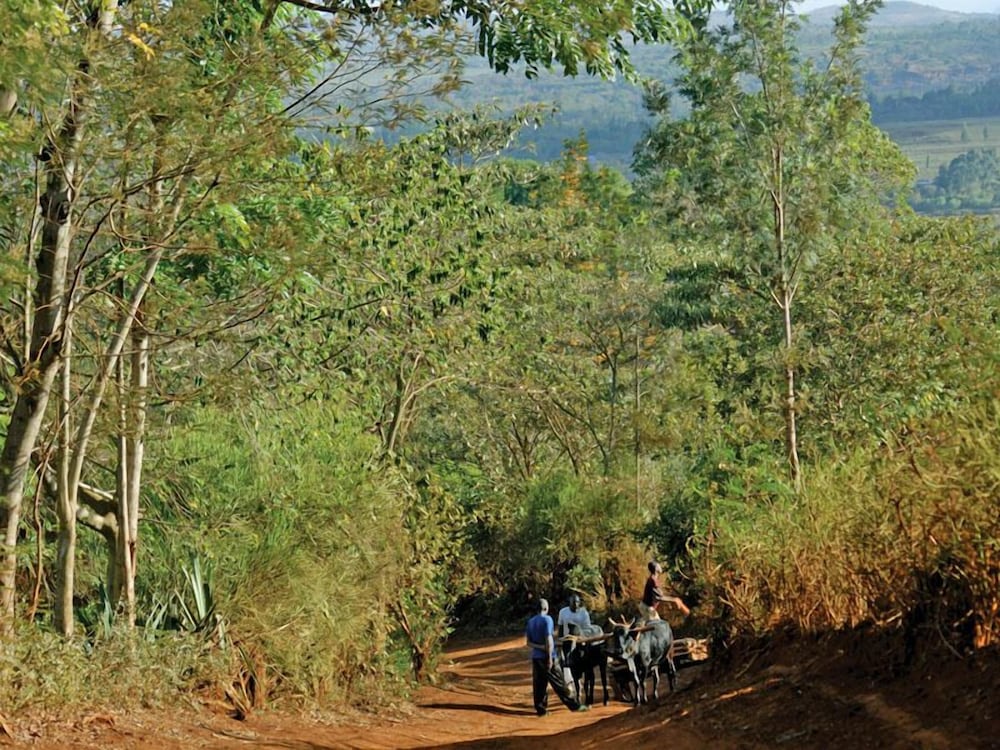 Ganako Luxury Lodge