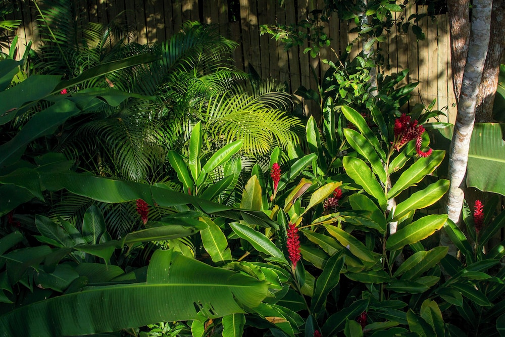 Quinta do Brasil Trancoso