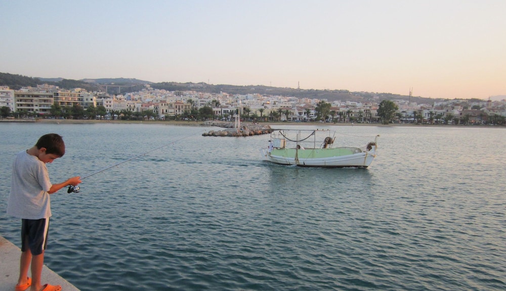 Photo 46