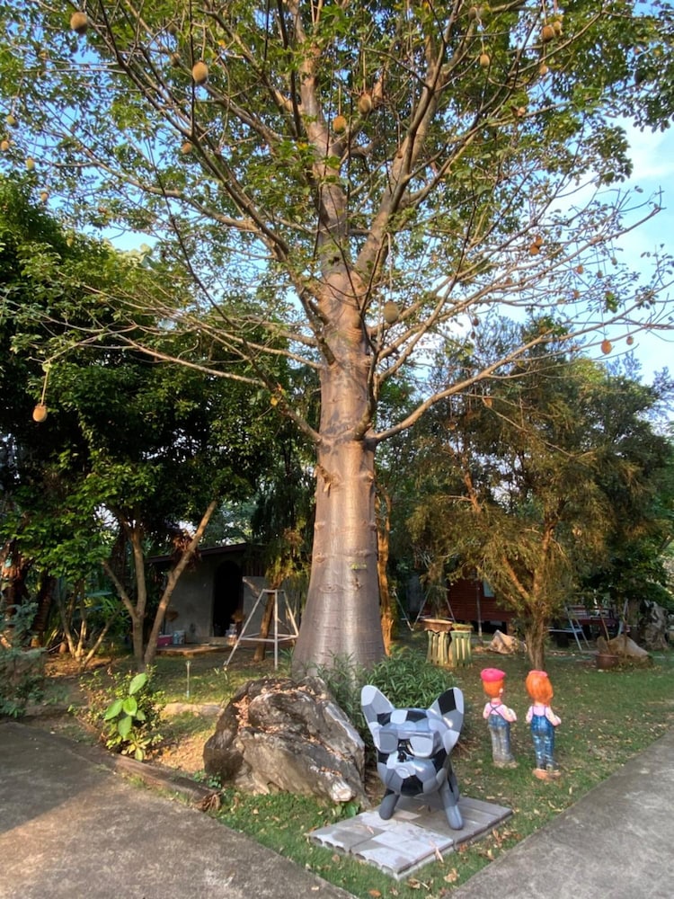 Nung Ni Bangkonthi