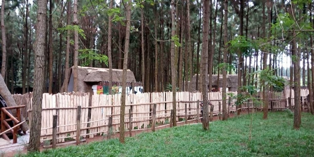 Photo 9