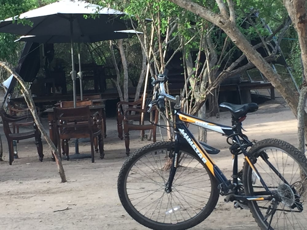 Elephant Lake Yala