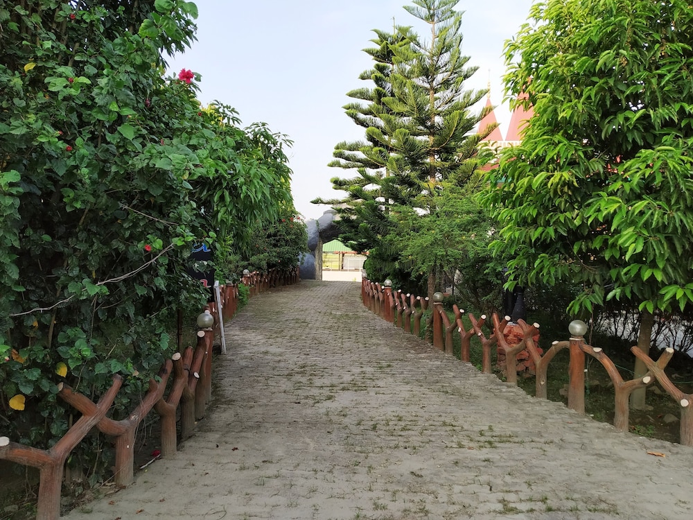 Photo 33