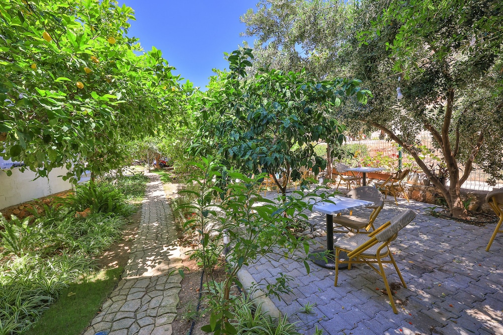 Harnup Apart - Image 28