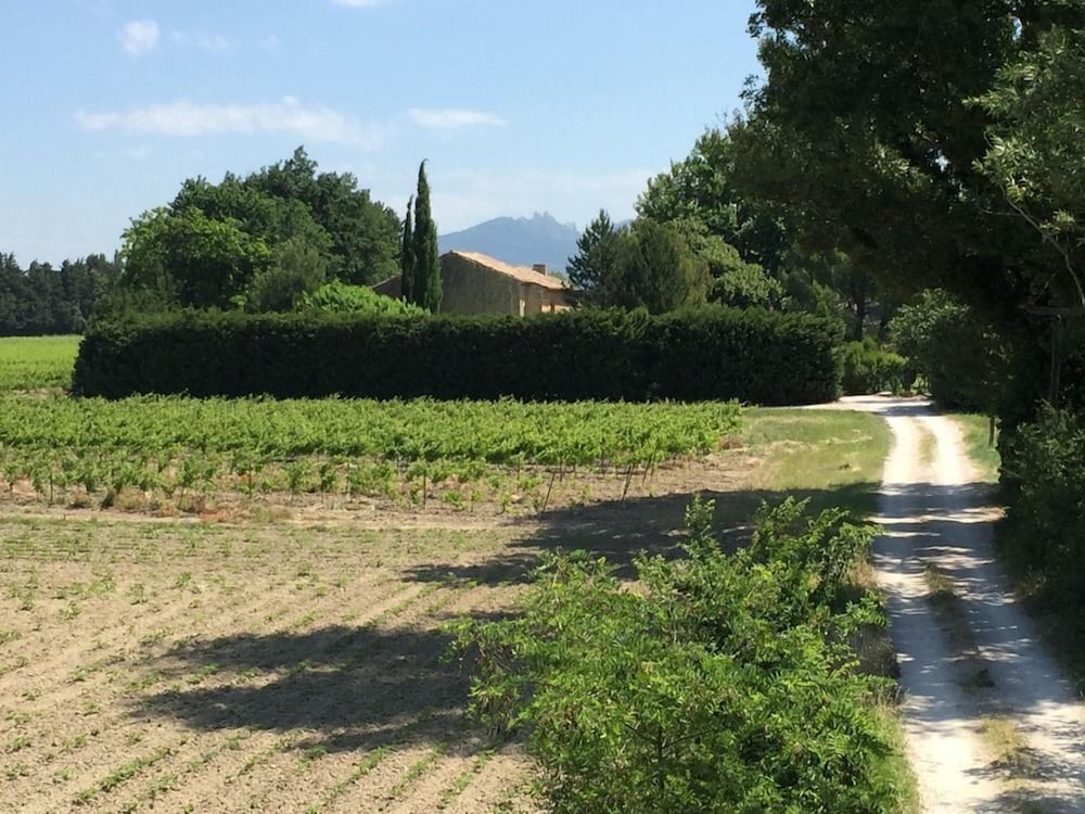 Mas du Clos de l'Escarrat