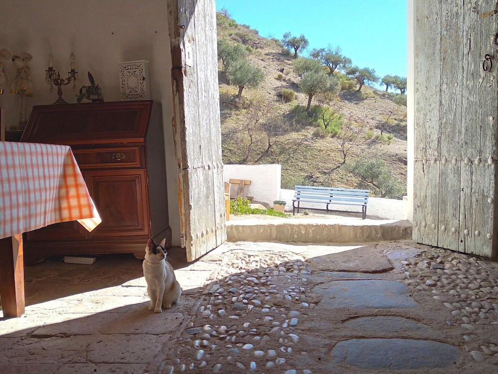 Andalusian Farmhouse for Workshops, Retreats or Events