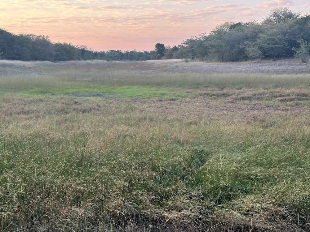 Kayubo Campsite