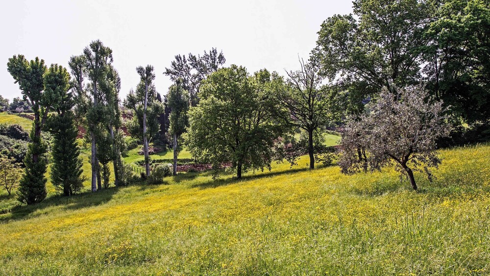 w Historic Tower w Private Pool Near Florence