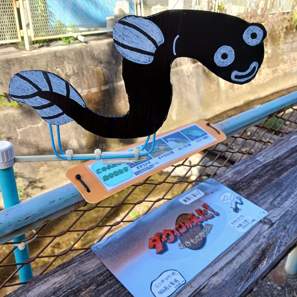 Amami Oshima Guest House Showa-sou - Hostel view 2