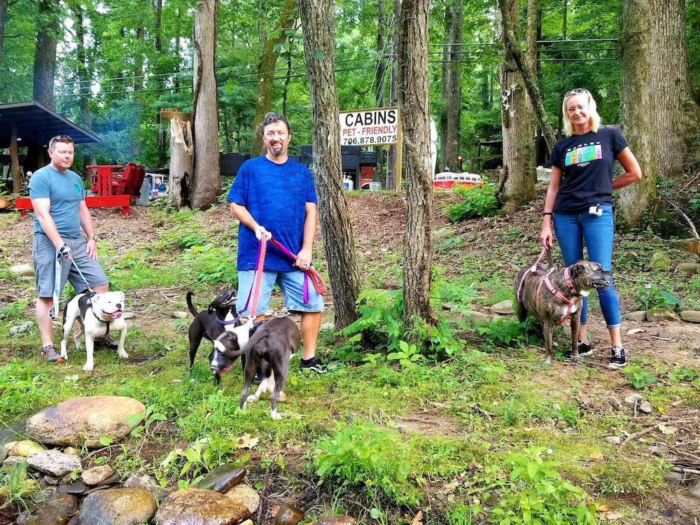 Bear Creek Lodge and Cabins in Helen Ga - Pet Friendly, River on Property, Walking Distance to downtown Helen