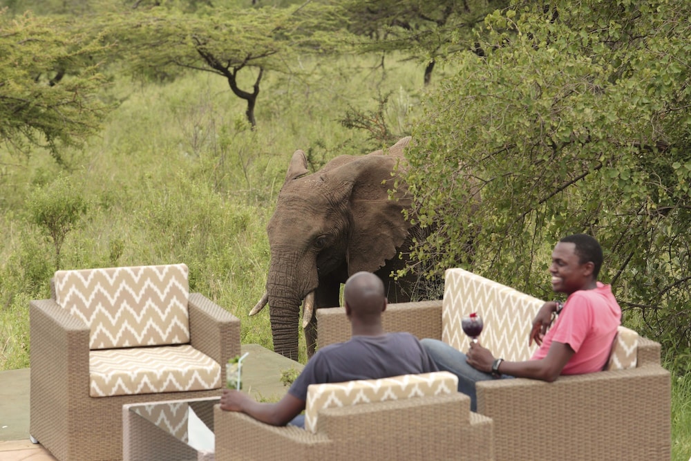Spirit Of The Masai Mara
