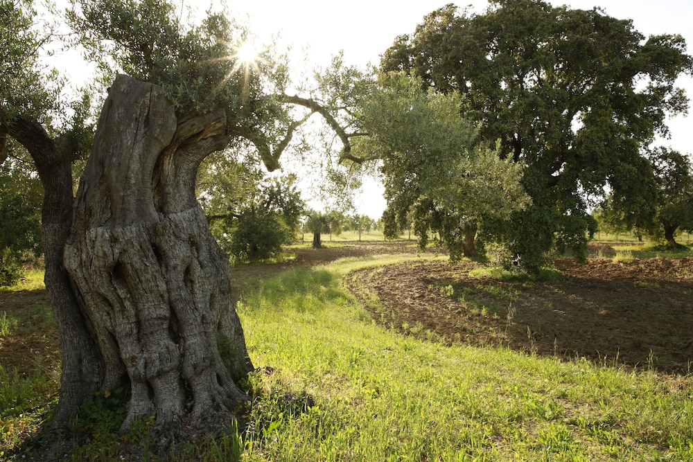 Fazenda Nova - Country House