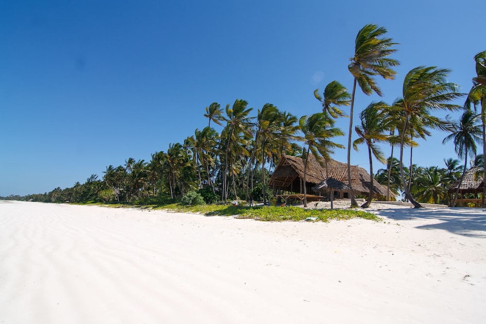 Tsunami Village