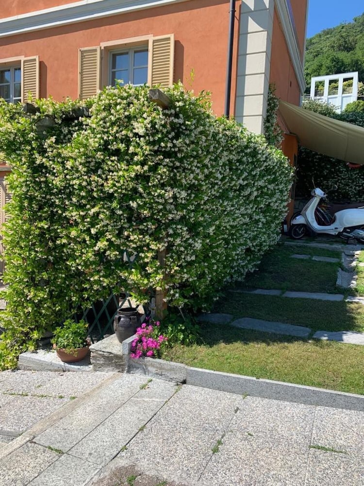 Photo 31