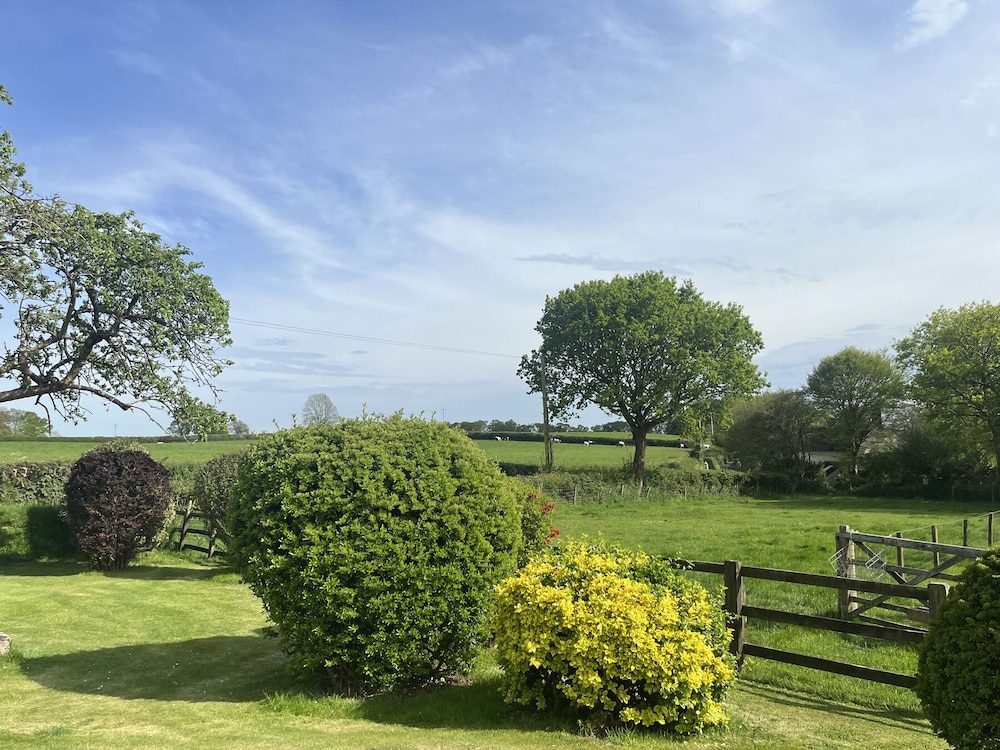 War Horse Valley Orchard View
