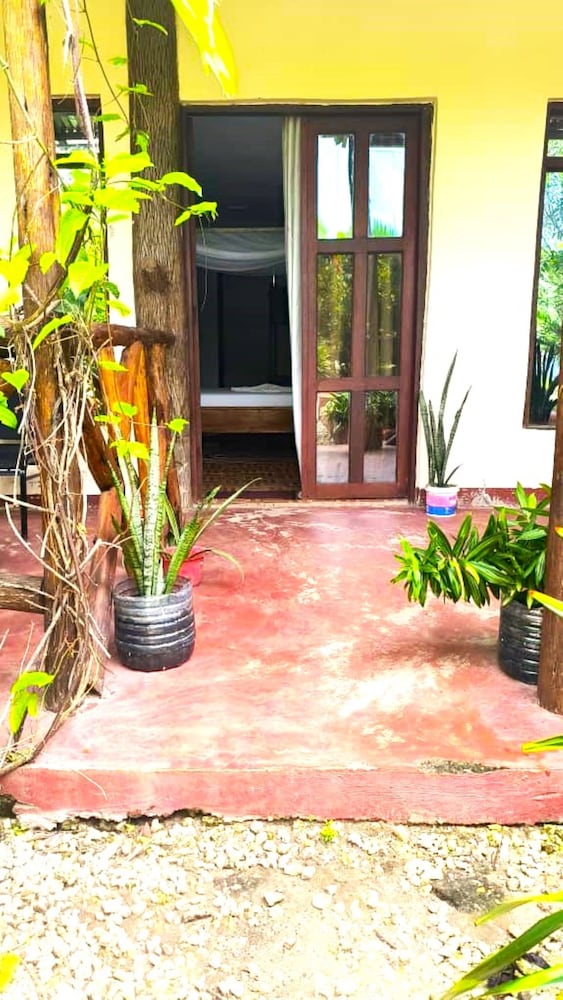 zanzllywood hotel and apartments