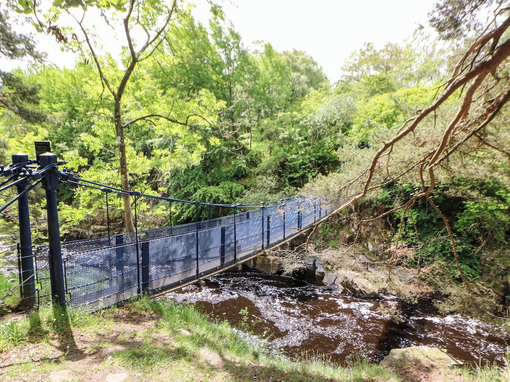 Forestside View
