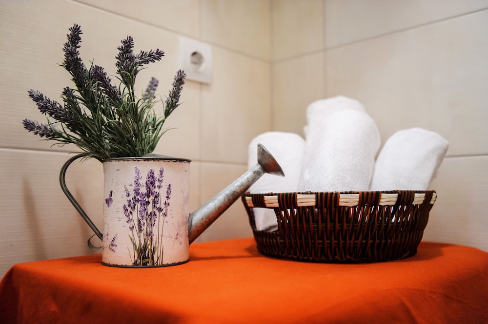 Apartment Peristil Aurea view 5