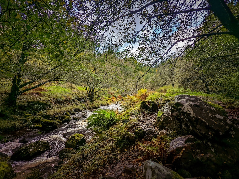 Mill Lodge Brecon Beacons