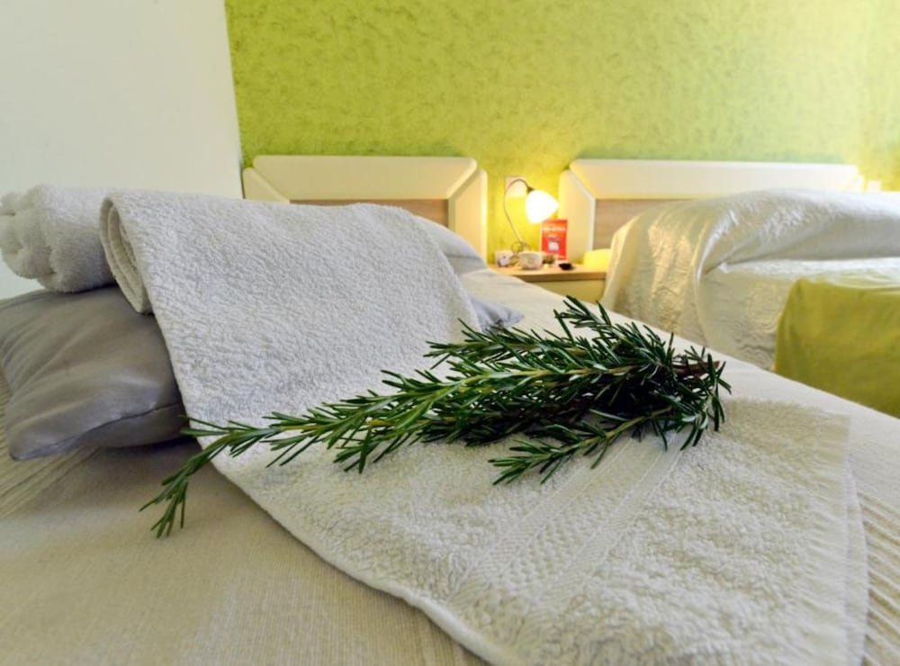 Authentic Istrian Rooms for Unforgettable Stays