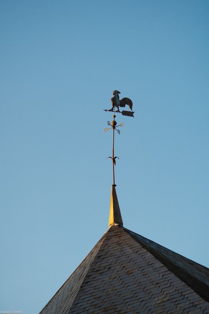 Photo 37