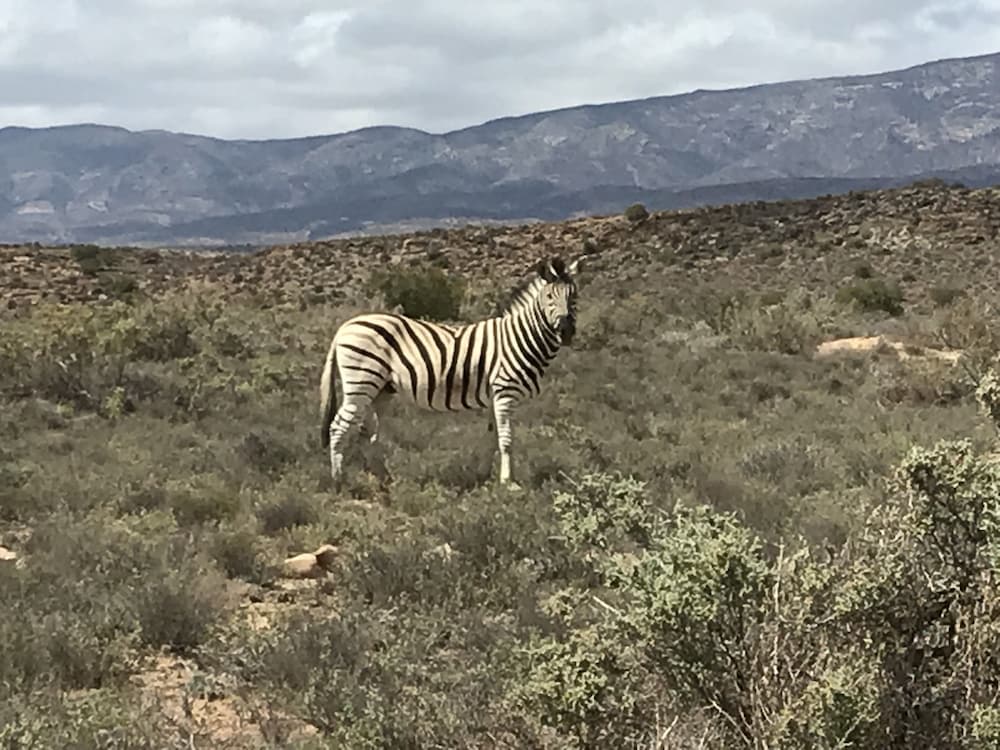 Mountain View Lodge Montagu