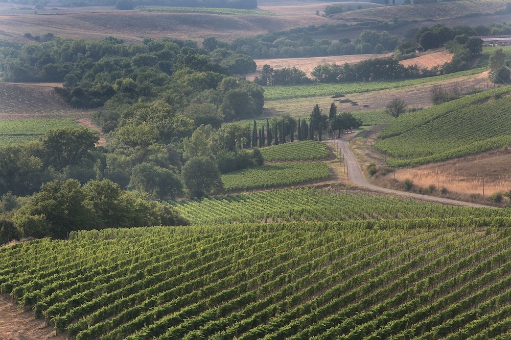 Agriturismo A. Bonacchi