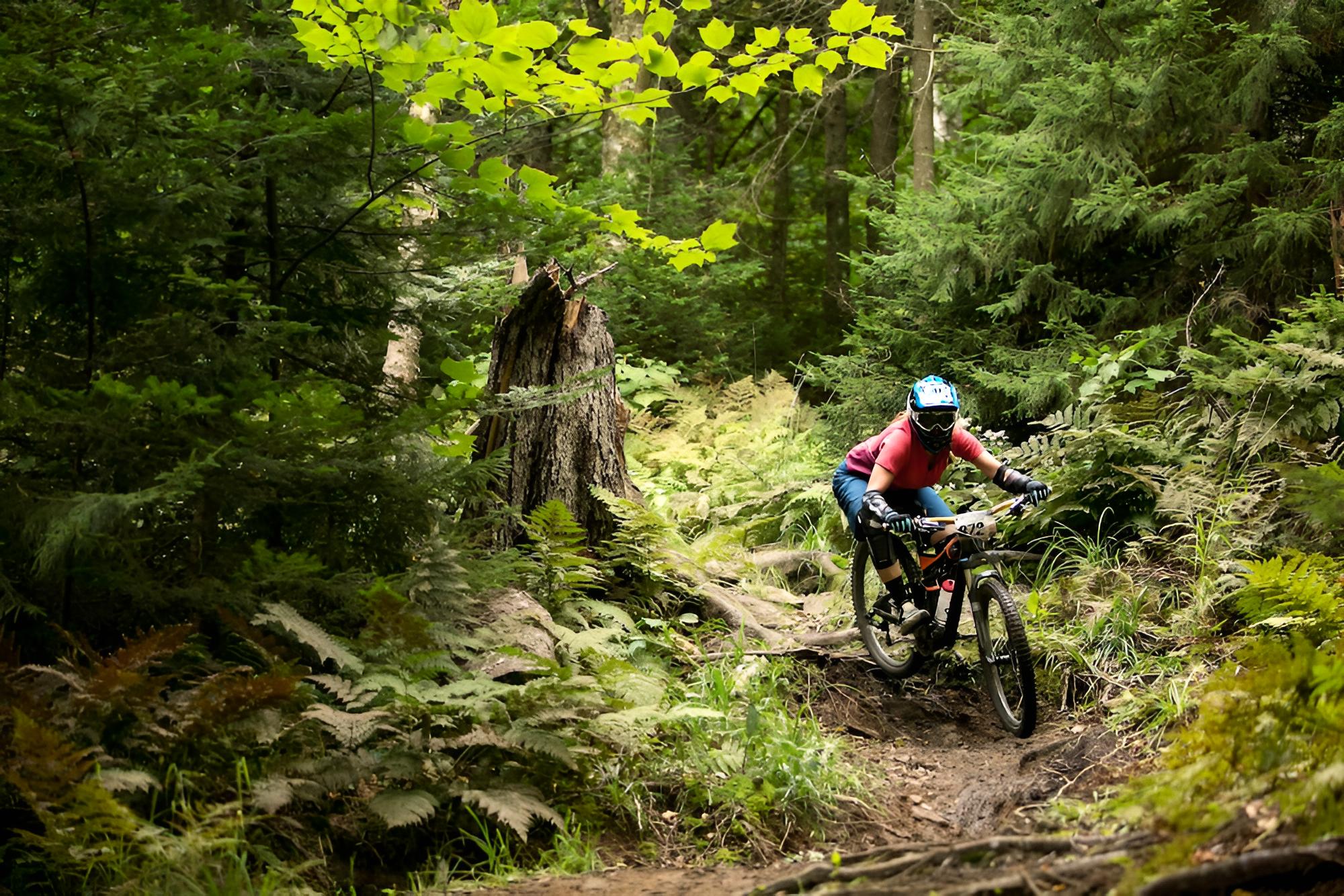 Killington Vacations - Fall Line Condominiums - Property Image 14