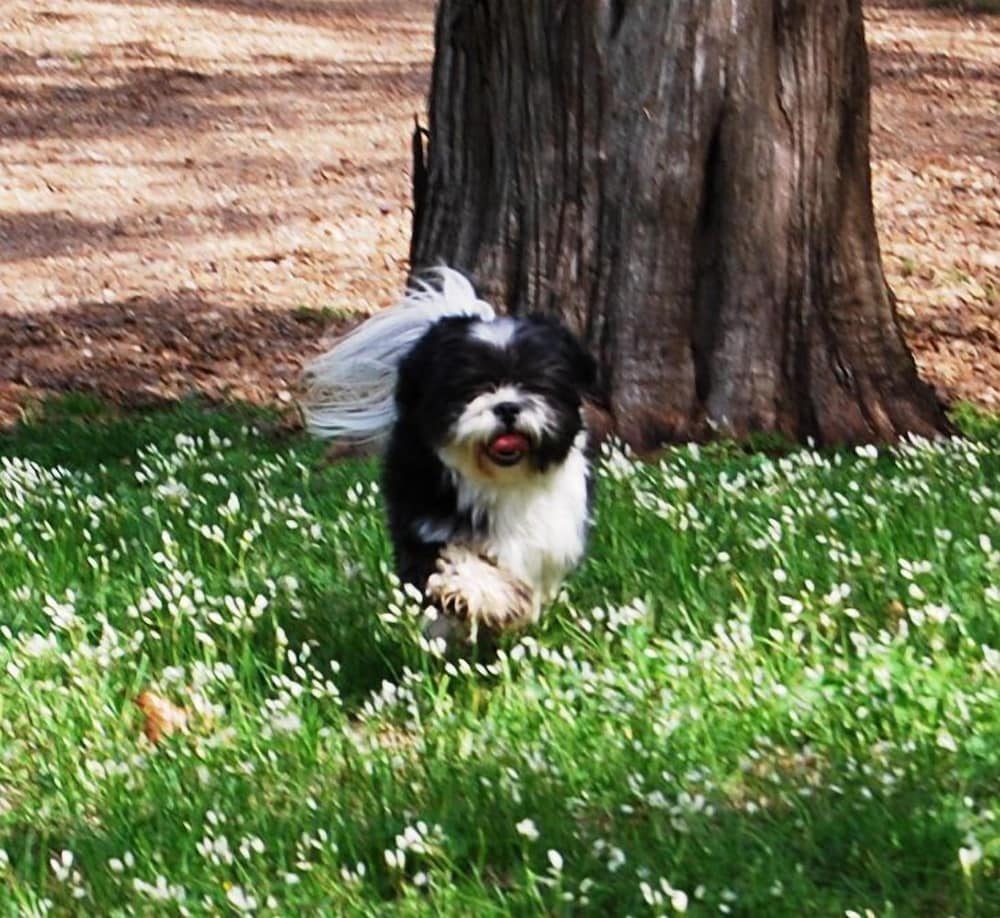 Photo 46
