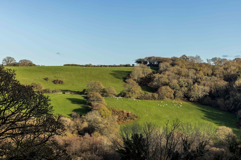 Woodtown in Chagford
