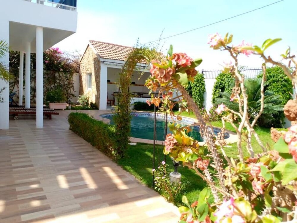 Photo 11