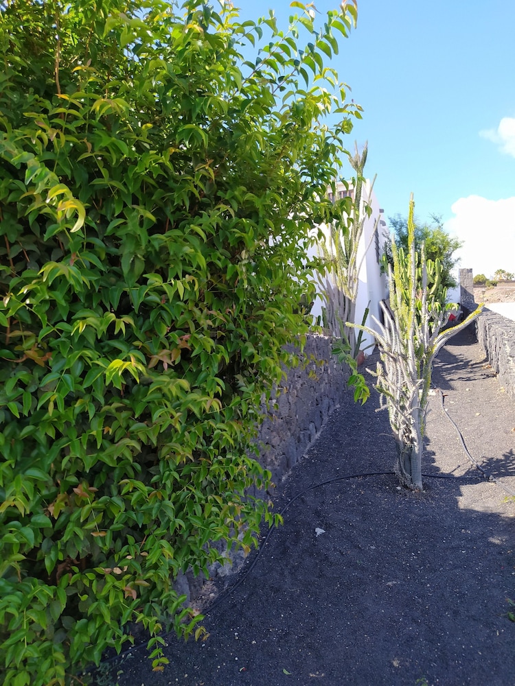 Under The Volcano In Playa Blanca