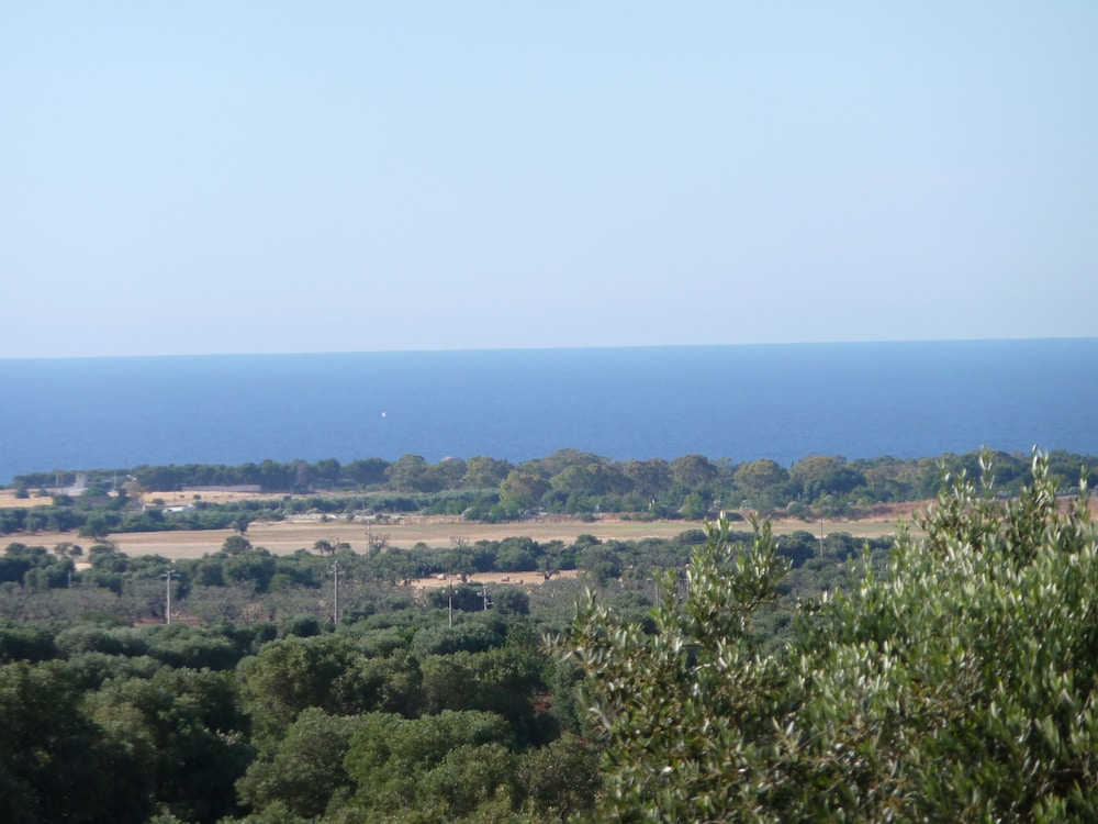 Villa Livia
