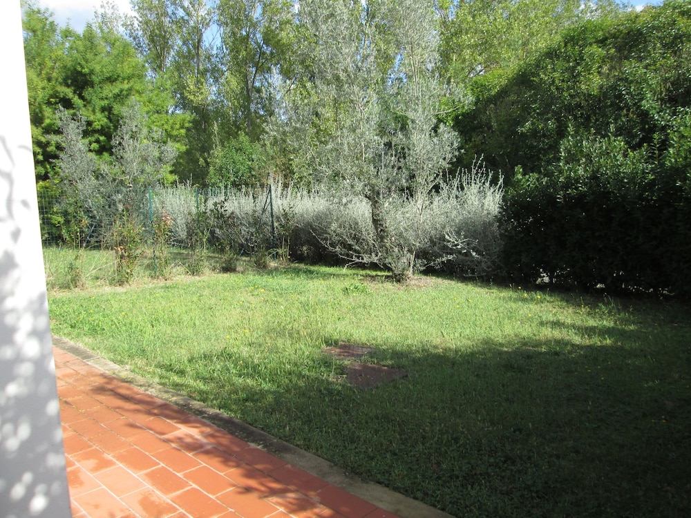 Fattoria La Steccaia