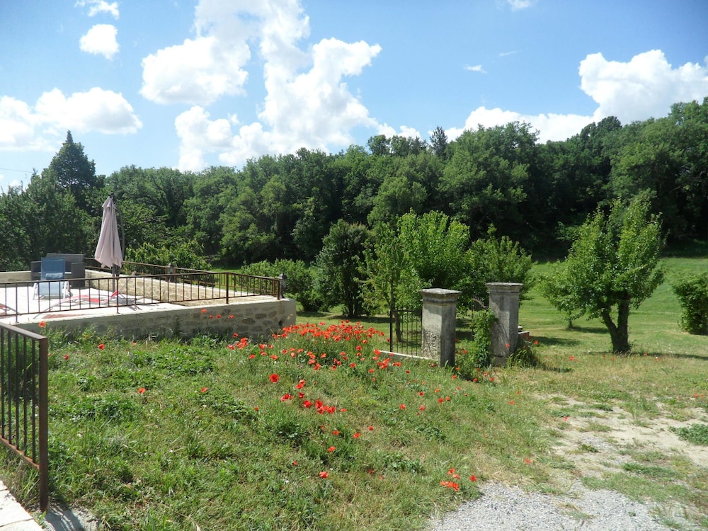 Les Ânes de Forcalquier