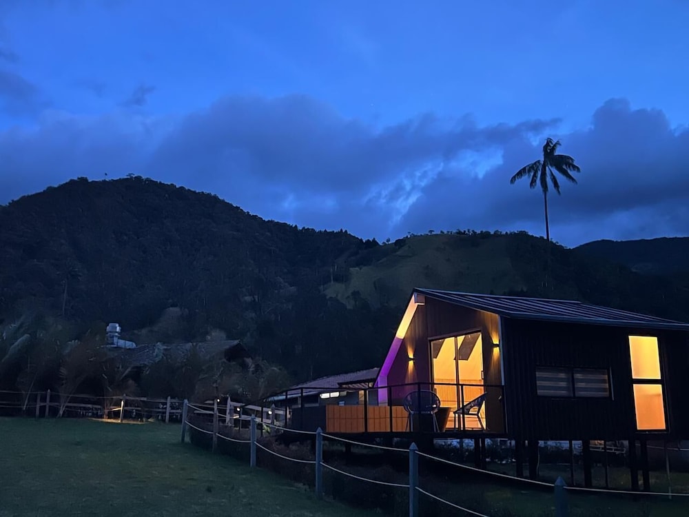 Bosques de Cocora Donde Juan B