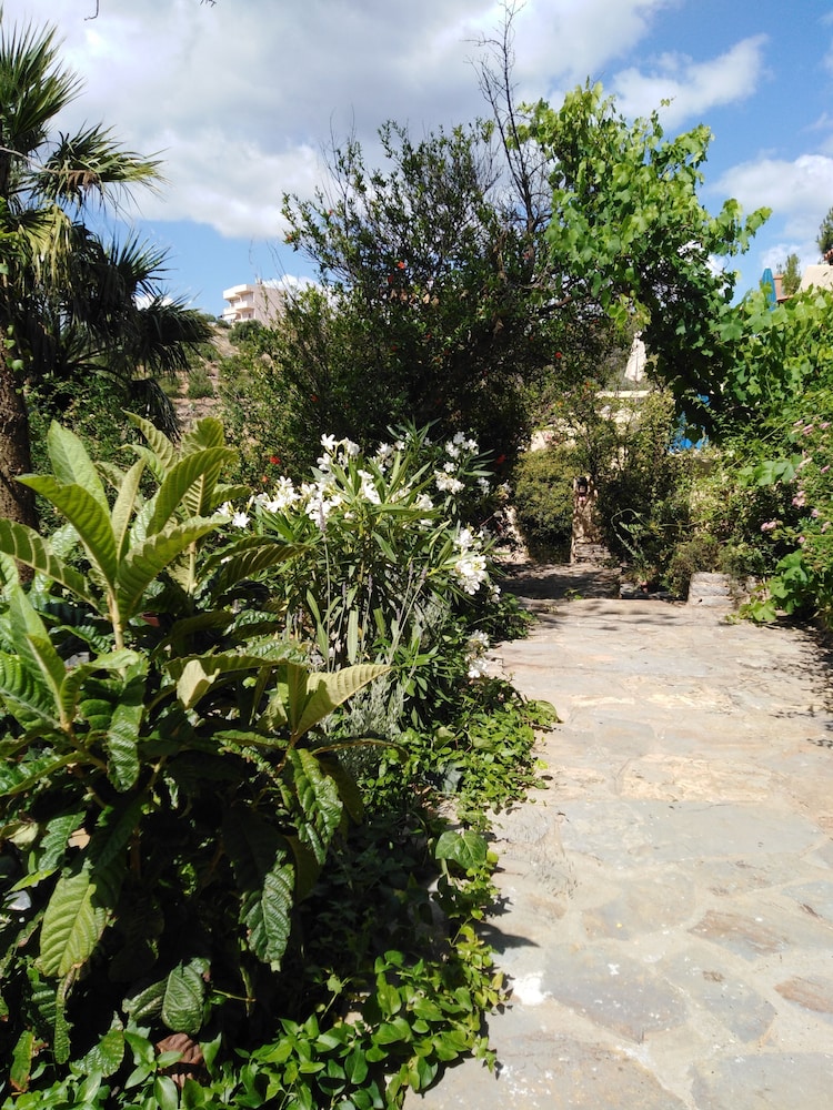 Photo 10
