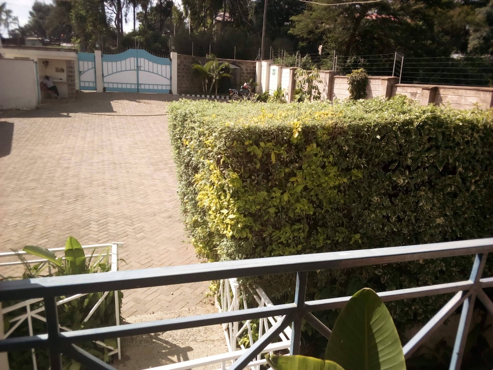 Photo 31