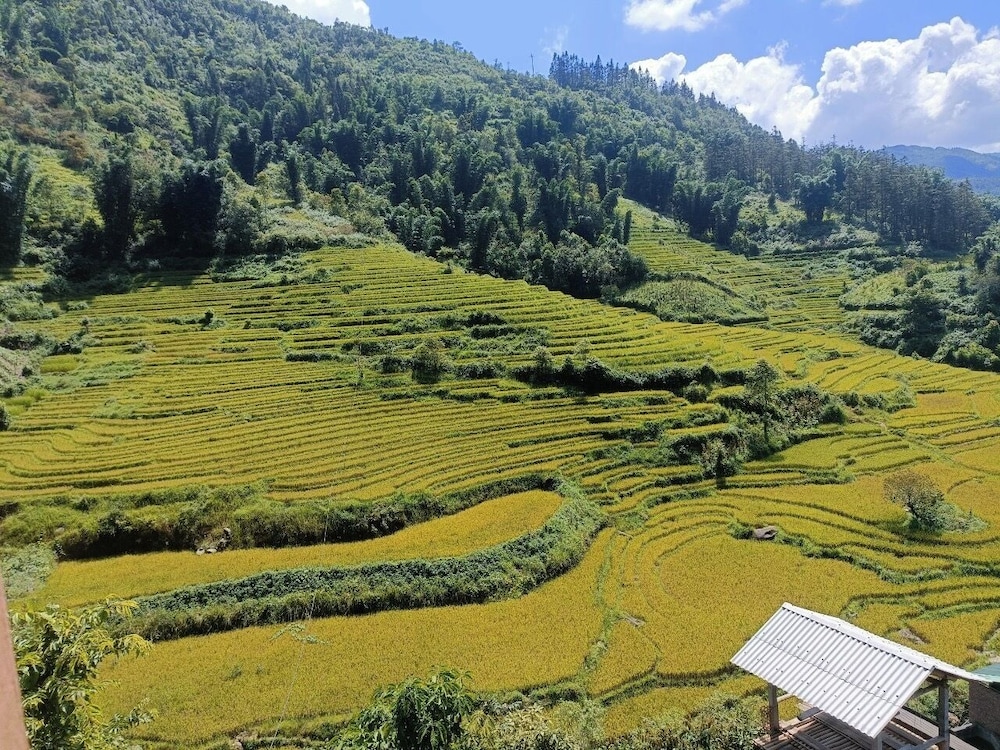 Homestay Nui Da Ta Phin