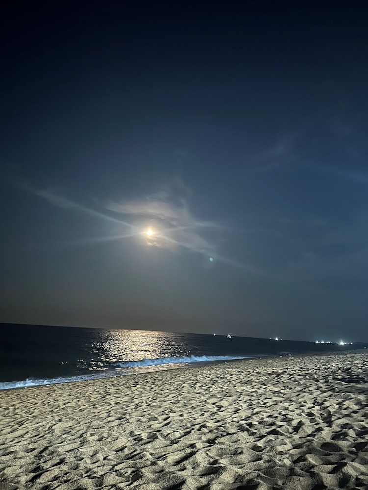 Photo 44