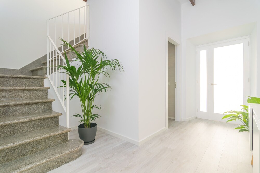 Can Serra in Sa Pobla photo 4