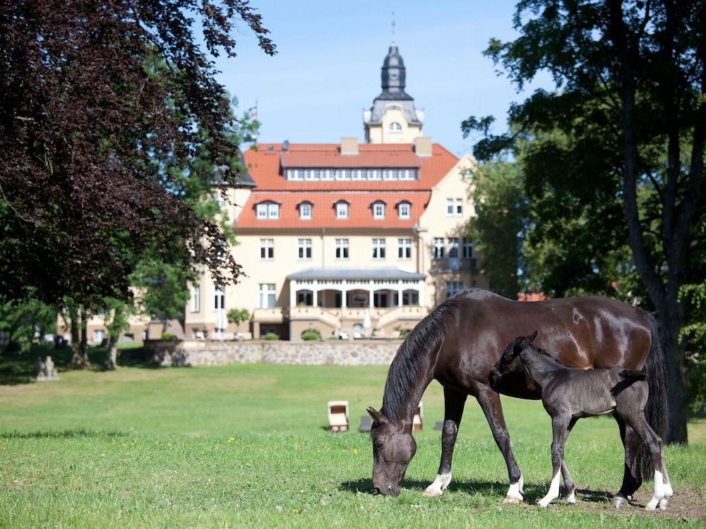 Ferienhaus Oliver, Wendorf