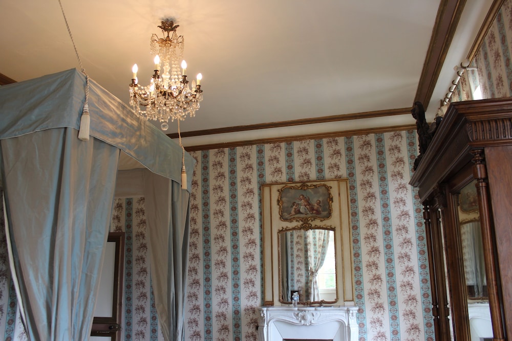 Chateau de la Plaudiere