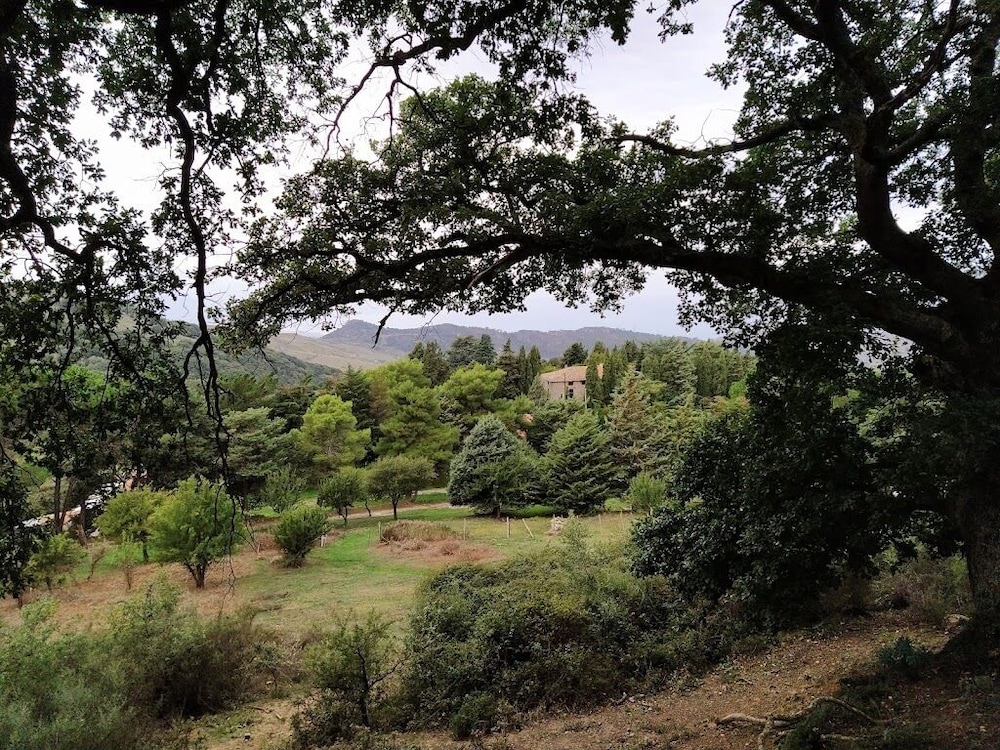 Agriturismo Bosco Pianetti