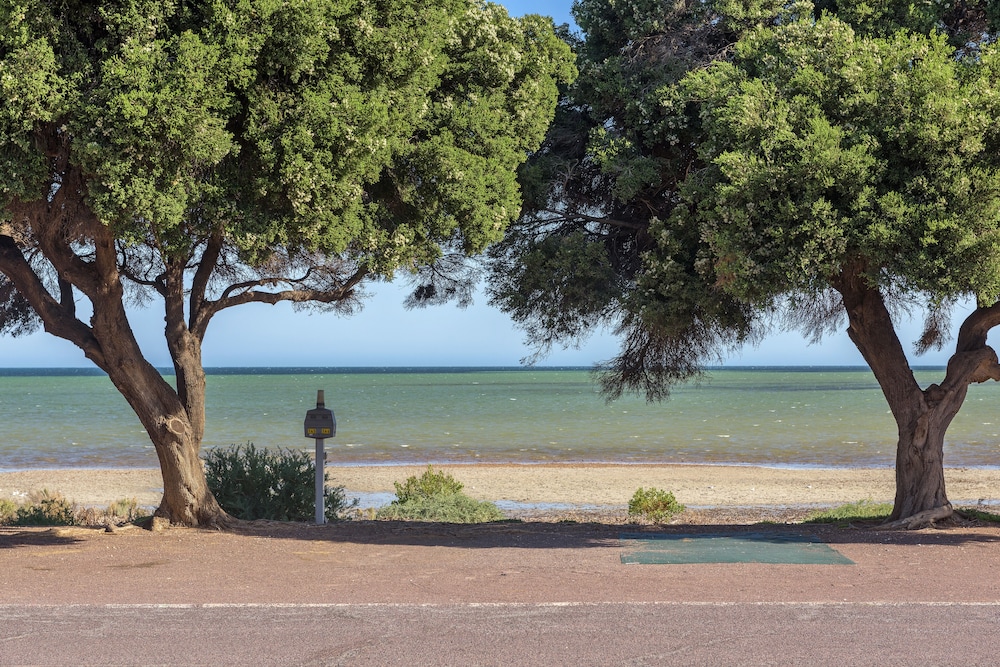Discovery Parks - Whyalla